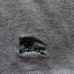 バーバリーブルー レベルの画像