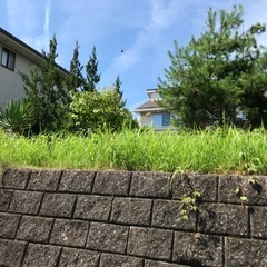 草刈経験者、室内清掃作業員(アルバイト)の画像