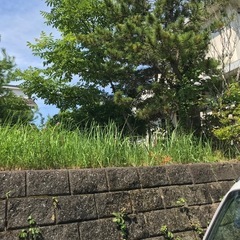 草刈経験者、室内清掃作業員(アルバイト)の画像