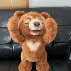 こぐまのカビーの画像