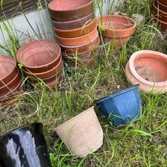 植木鉢いろいろの画像