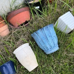 植木鉢いろいろの画像
