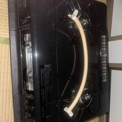 パロマの画像