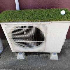 人工芝の画像