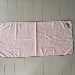 DAKSのブランケットの画像