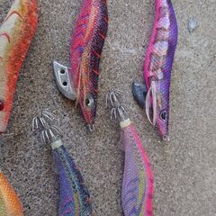 釣り。中古、エギ7点の画像