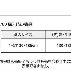 ★ラグ★極厚手★訳ありタダ★無料の画像