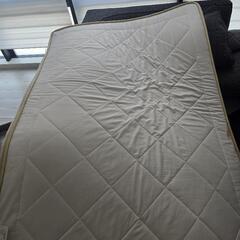 ★ラグ★極厚手★訳ありタダ★無料の画像