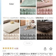 楽天購入 肉厚ラグの画像