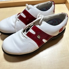 レディースゴルフシューズの画像