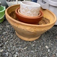 植木鉢　好きなだけお持ち帰りくださいの画像