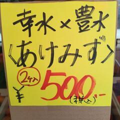 梨　愛知県豊橋産【あけみず】2個入　税込500円の画像