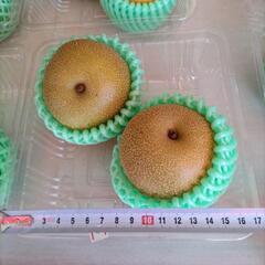 梨　愛知県豊橋産【あけみず】2個入　税込500円の画像