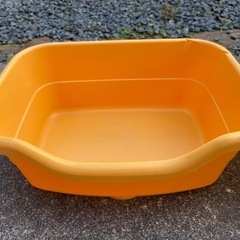 子猫用トイレ2個（今週末まで）の画像