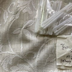 〈8/24限定〉レースカーテン③の画像