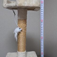 キャットタワーの画像