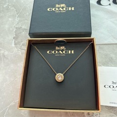 coachピアス、ネックレスセットの画像
