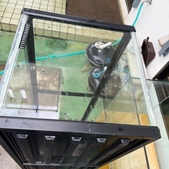 120センチ規格水槽。の画像
