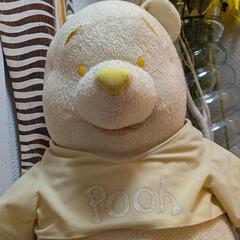 くまさん  大きいですよ！の画像