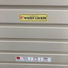 【ジモティー割引で最大15％OFF⭐️】 アイリスオーヤマ ウッディーロッカー WDL-910Vの画像