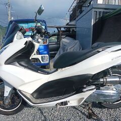 PCX125.カスタム始動動画.シグナス.の画像