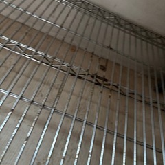 エレクタ　スチールラック①
　の画像