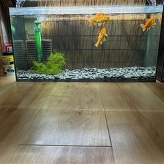 和金水槽セットの画像