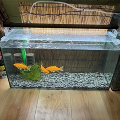 和金水槽セットの画像