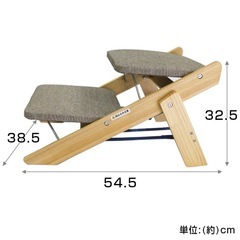 ペット用スロープにもなるステップの画像