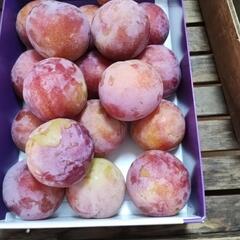 ☆☆（お取引中）完熟サマーエンジェル訳あり品　3L　18個おまけ付き☆☆②の画像