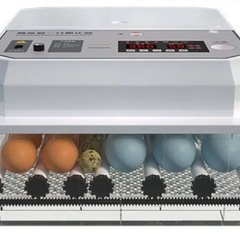 自動孵卵器 デジタル温度調整機能付きの画像