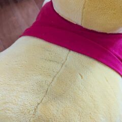プーさん　乗り物の画像