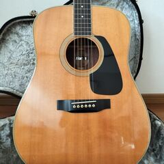 Morris / MV-701　モーリスアコースティックギターの画像