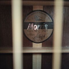 Morris / MV-701　モーリスアコースティックギターの画像