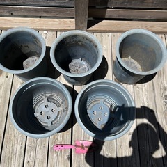 植木鉢5個の画像