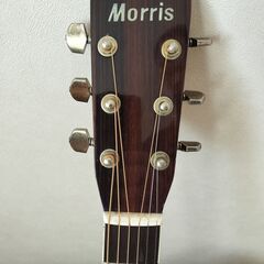 Morris / MV-701　モーリスアコースティックギターの画像