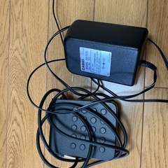 カシオ　プリビア　PX100 Casio Priviaの画像
