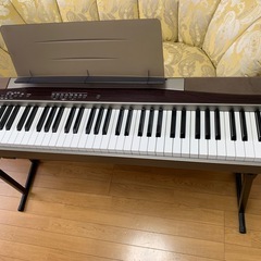 カシオ　プリビア　PX100 Casio Priviaの画像