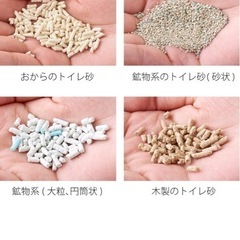 自動猫トイレ CIRCLE 0の画像