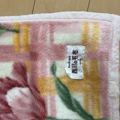 【肌触り◎】毛布（ピンク、グリーン）の画像
