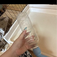 犬ケージの画像