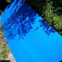 ブルーのプラシート 2枚 180×90の画像