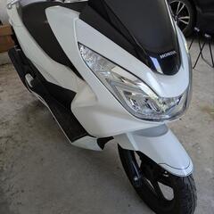 pcx125　jf56の画像
