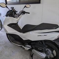 pcx125　jf56の画像