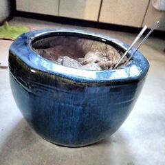 使っていた 火鉢ですの画像