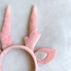 岩下の新生姜　ミュージアム　イワシカ　カチューシャの画像
