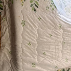 こたつ＋こたつ布団の画像
