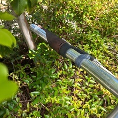 自転車クロスバイクの画像