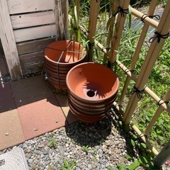 素焼き　鉢植え　あげます！沢山あります！ の画像