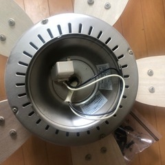 丸善　シーリングファンライト 💡の画像
